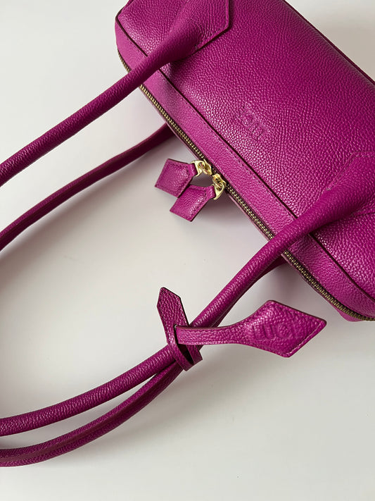Fuchsia mini